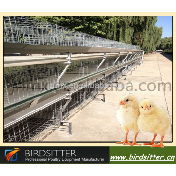 Cage automatique pour pousser le poulet